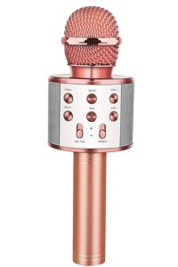 Ws858 Karaoke Mikrofon