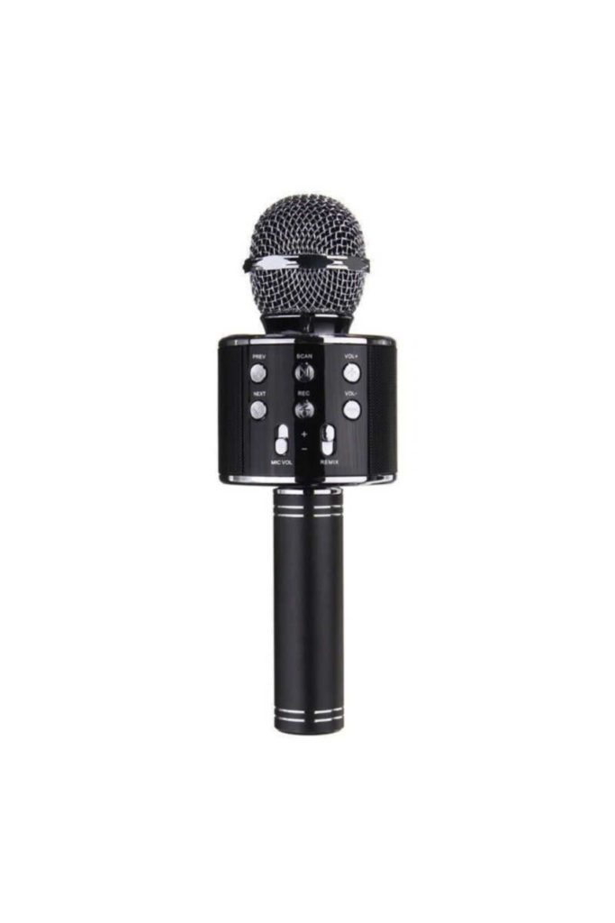 Karaoke Mikrofon – Ws-858